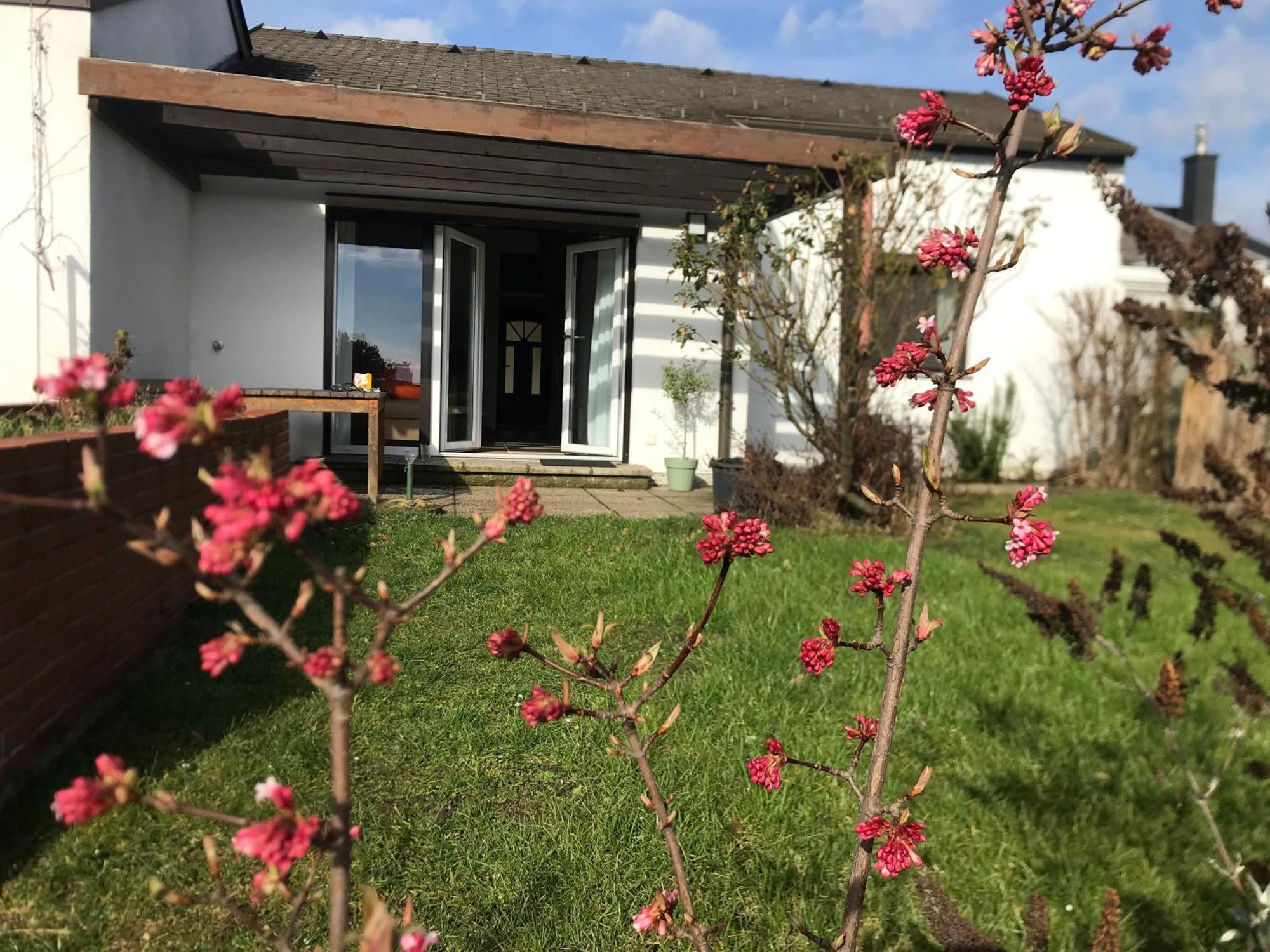 Seeblick Breitenbrunn (Burgenland)